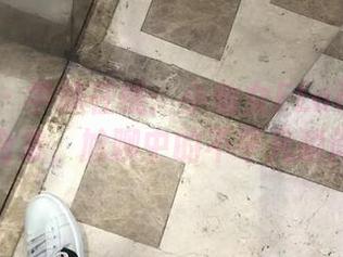 微密圈 – 学妹在线：小仙女ELaine的写真合集，尬聊中的不平凡瞬间！