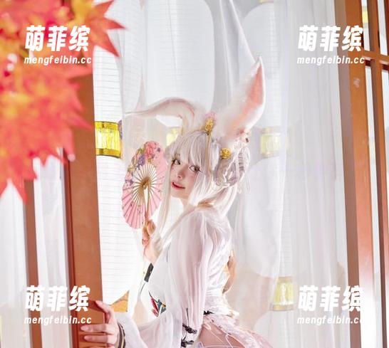 阿寨寨 阿寨寨日常美图:怎样的光影让你一秒钟醉?